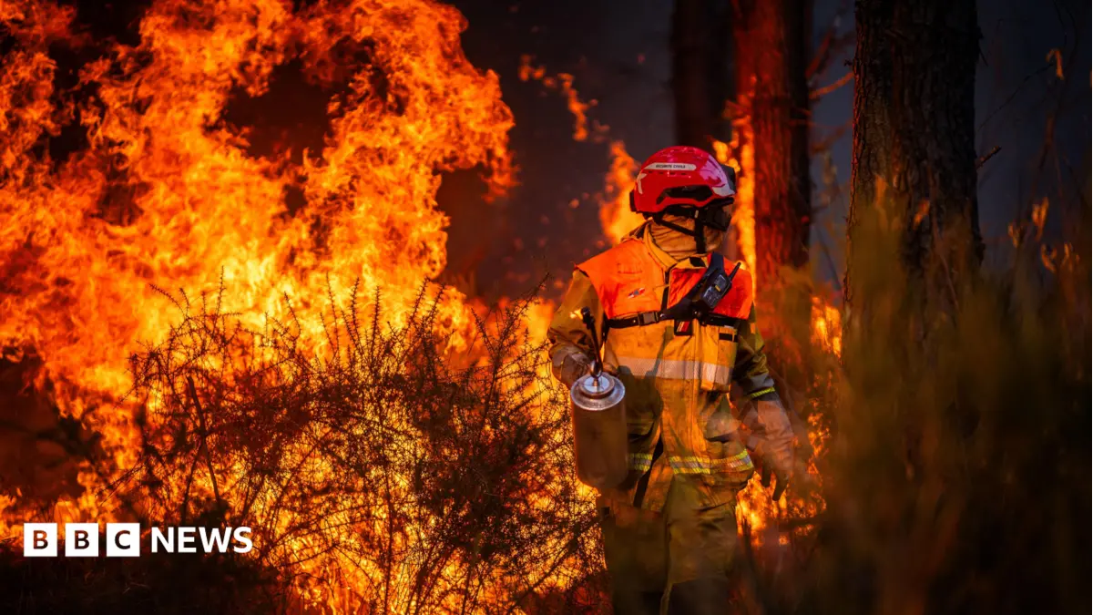 Hundreds Arrested Over French Wildfires, Government Seeks Arson Accountability
