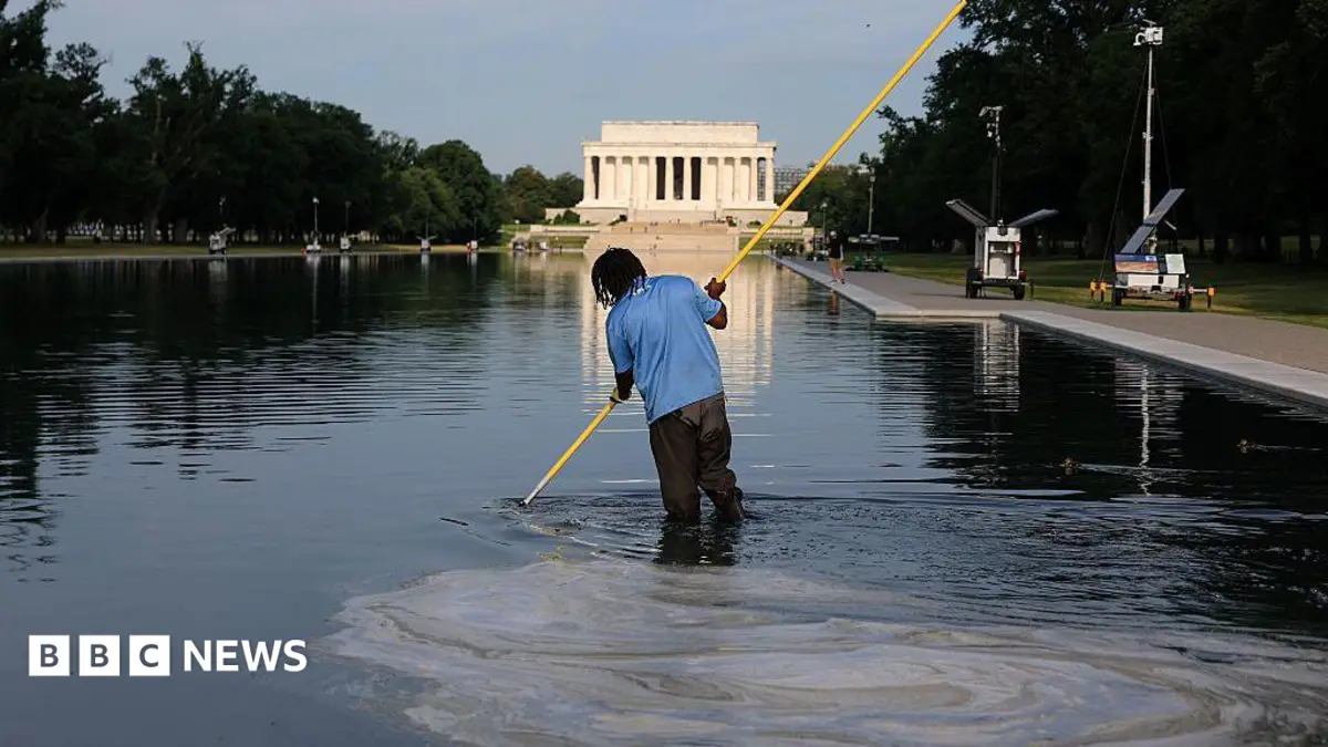 Former US Olympian Indicted for Washington Reflecting Pool Damage