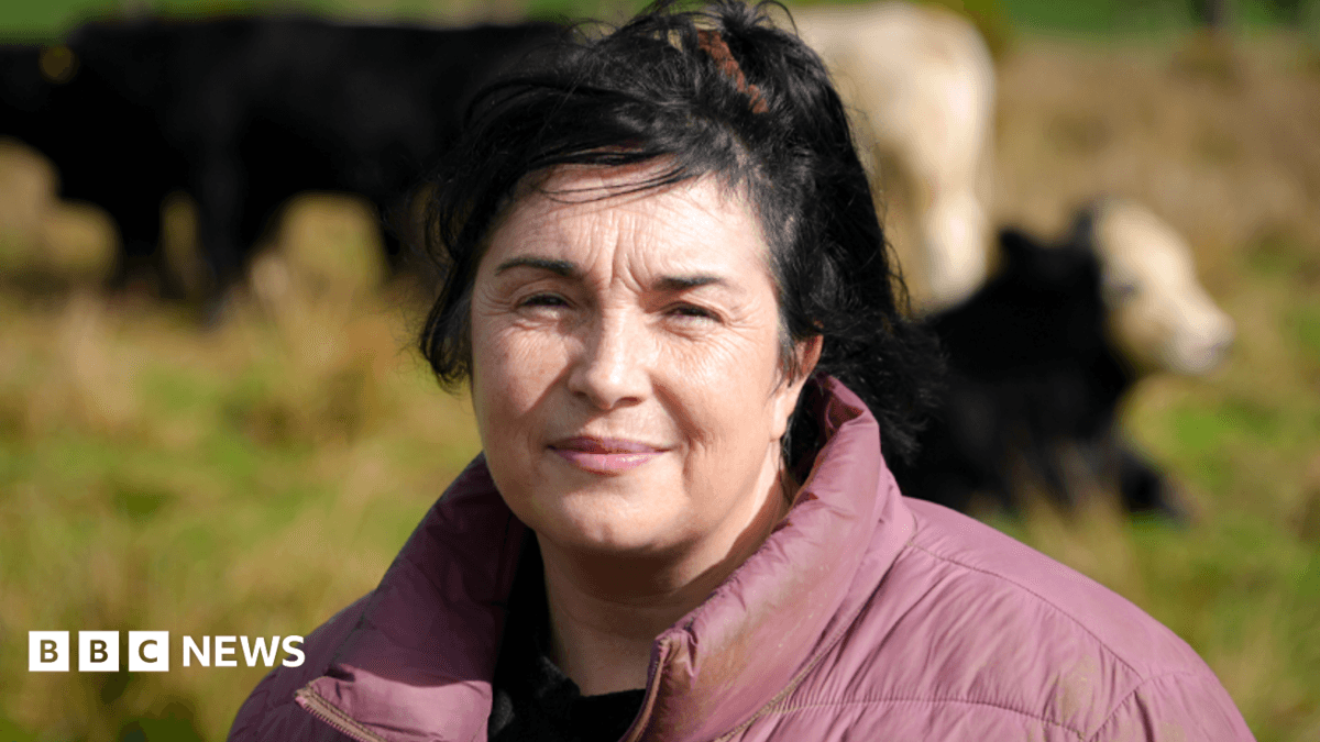Rural Abuse Victims Detail Family Violence, Demand Enhanced Support Systems