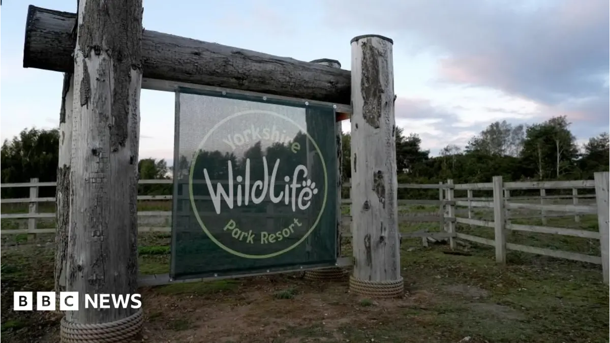 Yorkshire Wildlife Park Reopens Days After Tiger Attack Kills Man
