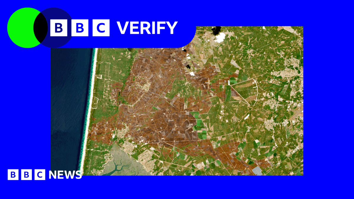 Satellite Imagery Reveals Vast European Landscapes Scarred by Summer Heatwaves