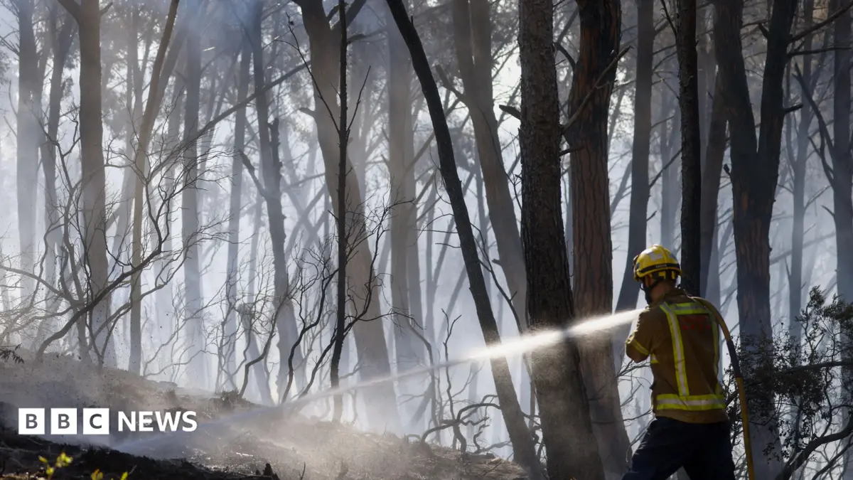 Spain Wildfire Claims Twelve Lives, Injures Six in AlmerĂa Province