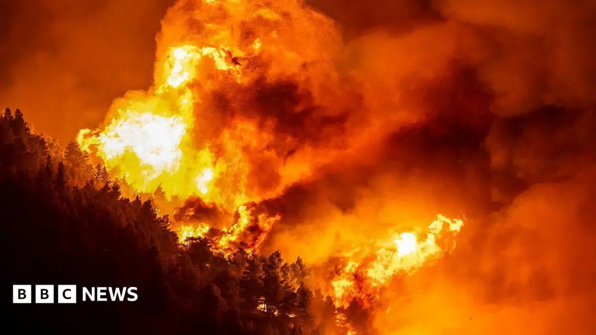 Omis Wildfire Forces Thousands to Evacuate, Dozens Injured in Croatia