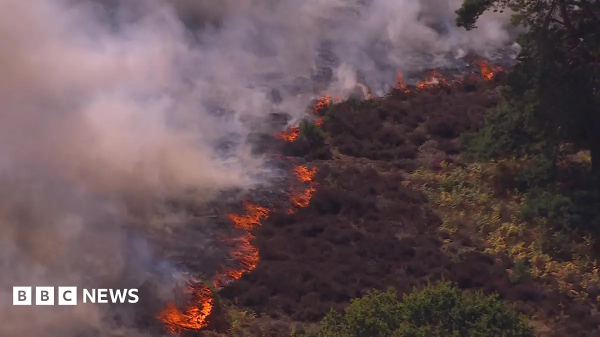 Suffolk Heathland Wildfire Consumes Area Equivalent to 200 Football Pitches