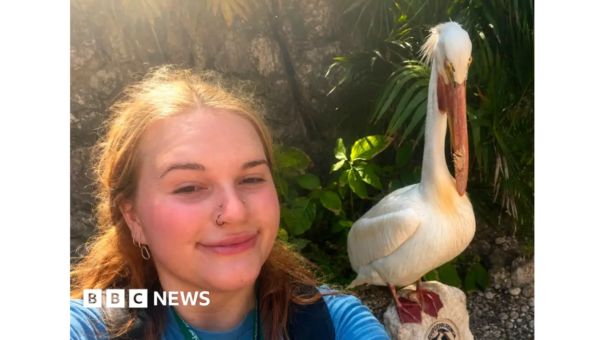 UK Gap Year Students Lose Thousands as GVI Tour Operator Ceases Trading
