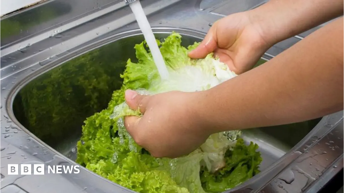 United States Reports Two Fatalities in Cyclospora Outbreak Linked to Contaminated Produce