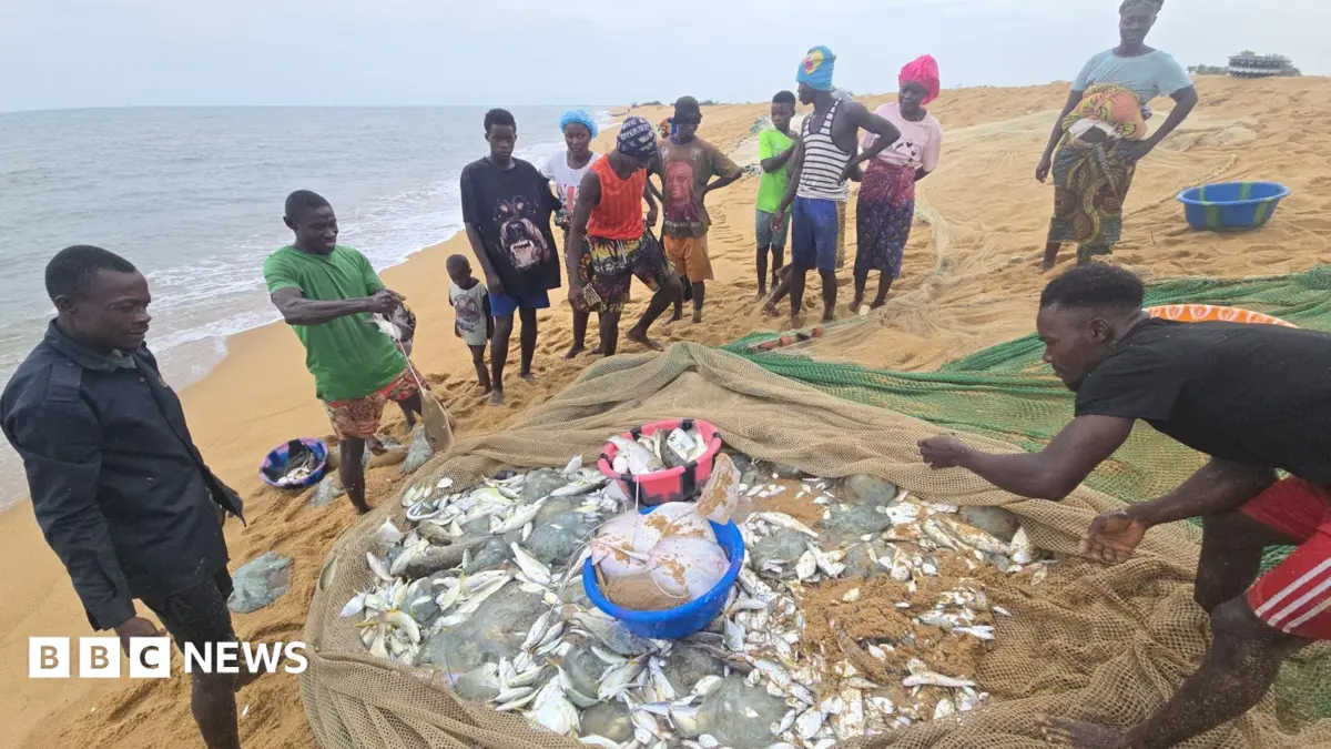 Sierra Leone Fishermen Accuse Chinese Trawlers of Illegally Depleting Fish Stocks