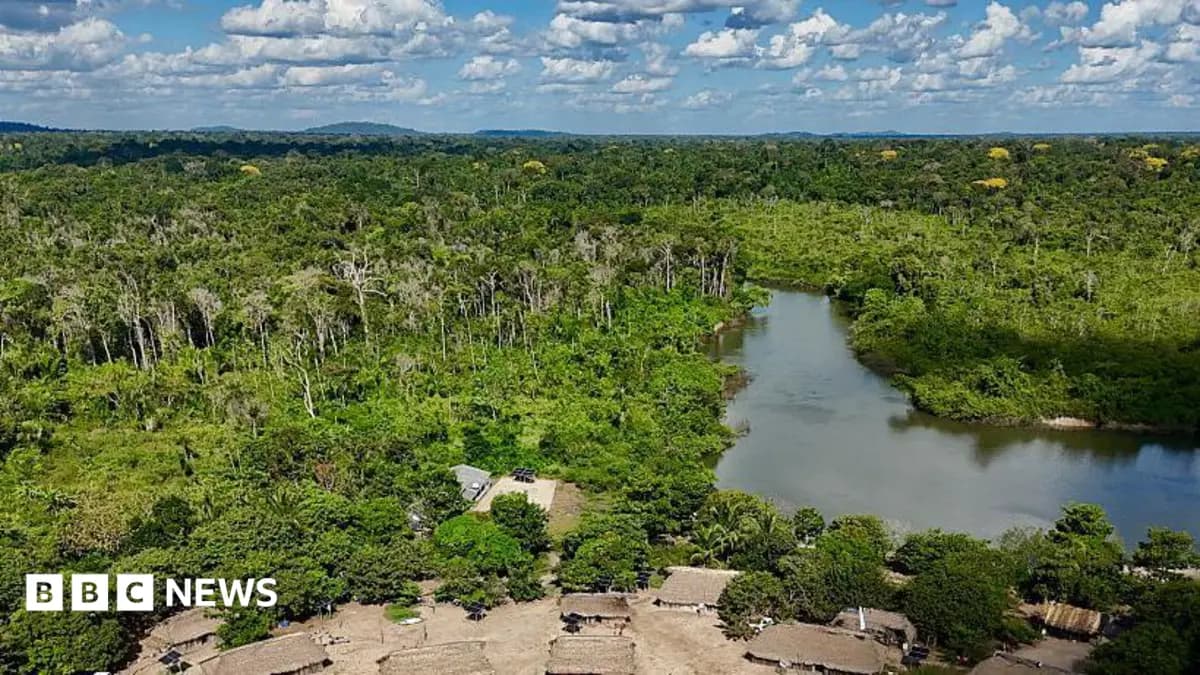 Amazon Rainforest Sees Lowest Burned Area in 2025 Since 1985 Records Began