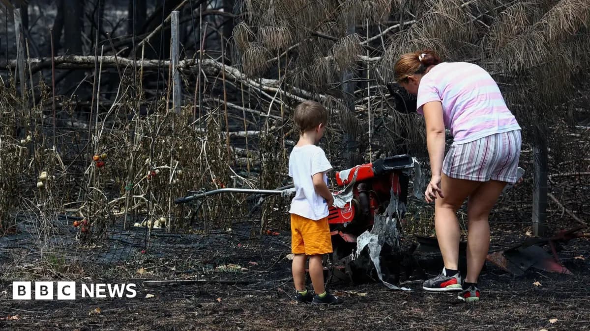 Le Porge Wildfires Uncover Hundreds of World War Two Munitions