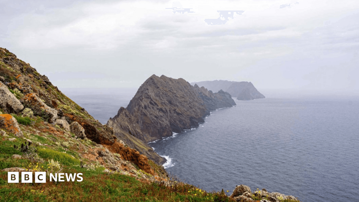 Madeiran Land Snails Rescued from Bugio Island Rock Face, Twenty-One Surviving