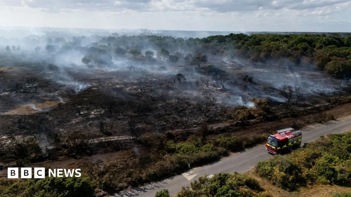 UK Government Must Act on Wildfires or More Lives Will Be Lost, Baroness Brown Warns