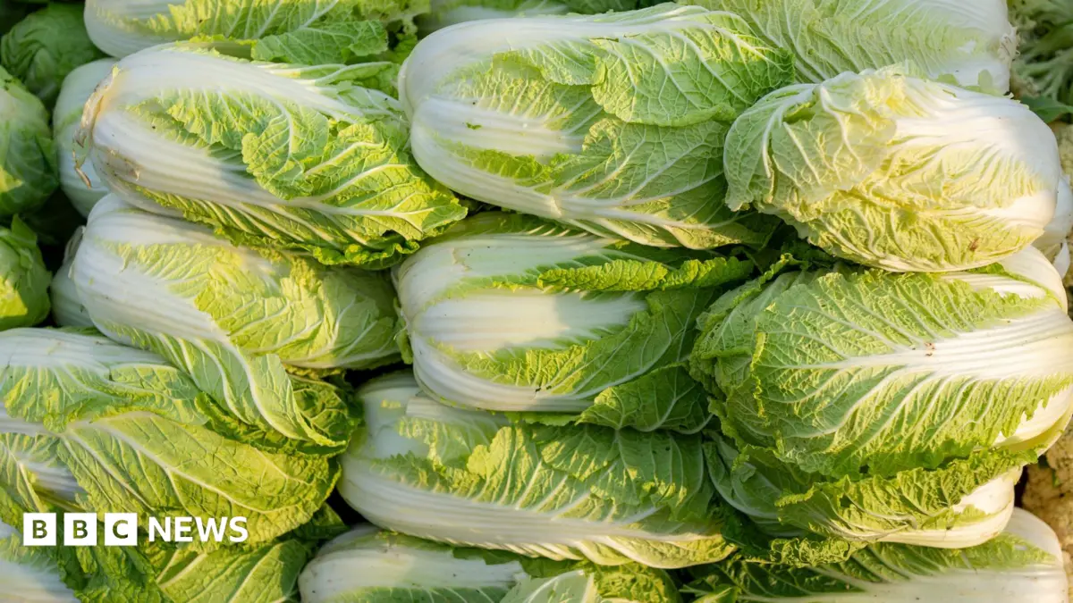China Investigates Cabbage Preservation With Prohibited Carcinogen Formaldehyde