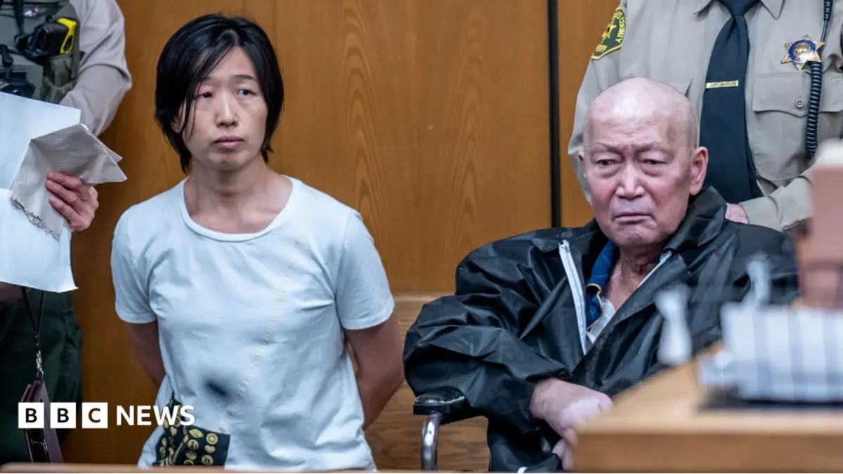 California Couple Guojun Xuan and Silvia Zhang Face Child Abuse Charges Over 14 Surrogate-Born Children