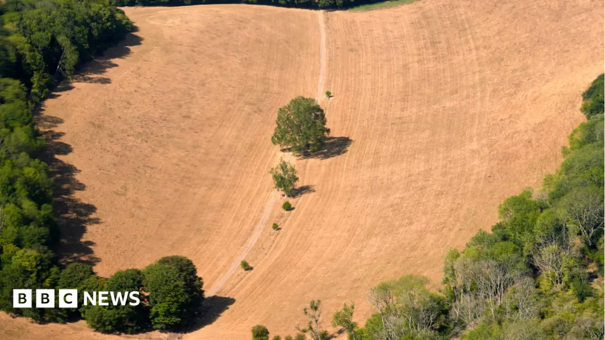 Kew Gardens Records 38.1C as UK Endures Hottest Day of the Year