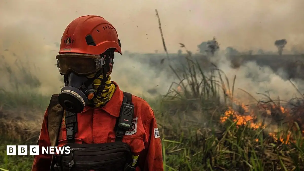 Wildfire Haze Engulfs Southeast Asia, 12,000 Children Suffer Respiratory Illnesses