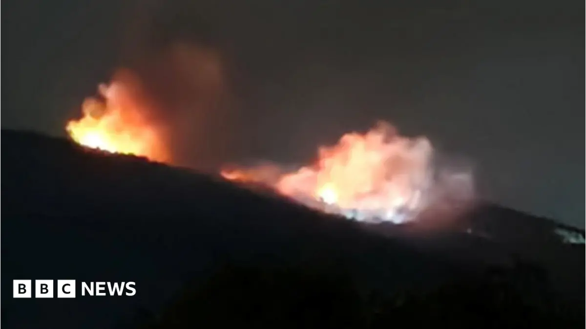 Bulgarian Weapons Site Fire Prompts Sabotage Claims From Emilian Gebrev
