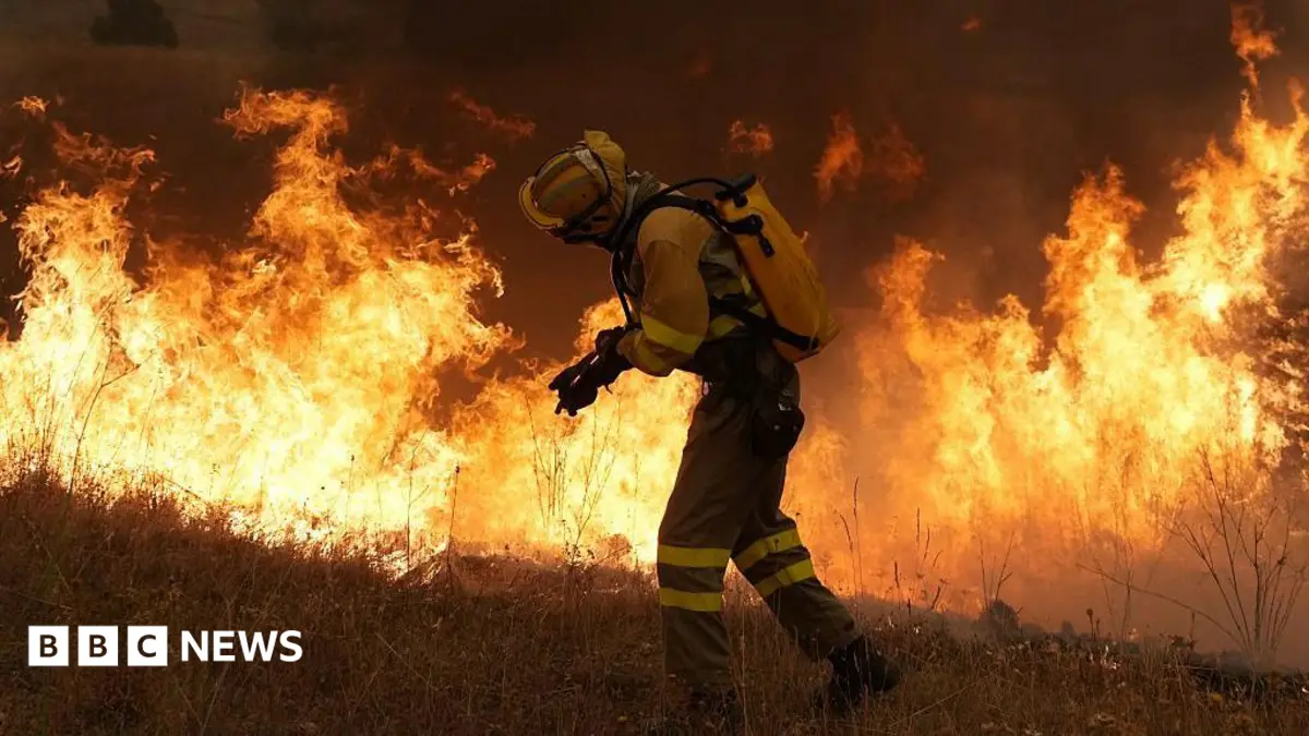 Australia Combines Satellite Technology, Aboriginal Land Management for Bushfire Control