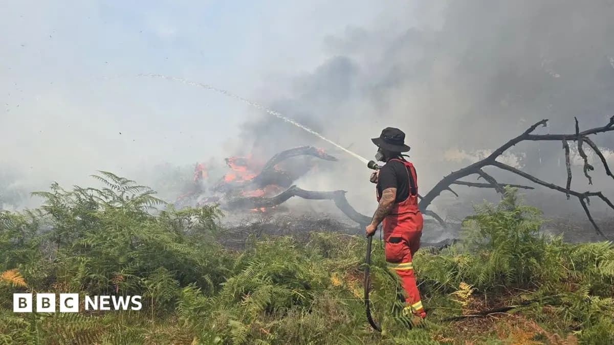 New Forest Wildfire Engages 100 Firefighters as Temperatures Increase