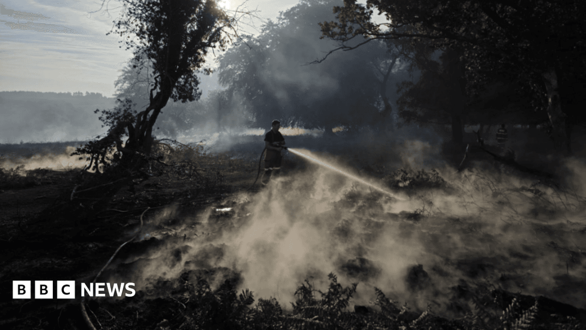 New Forest Wildfire Fully Contained After Extensive Fire Service Operations