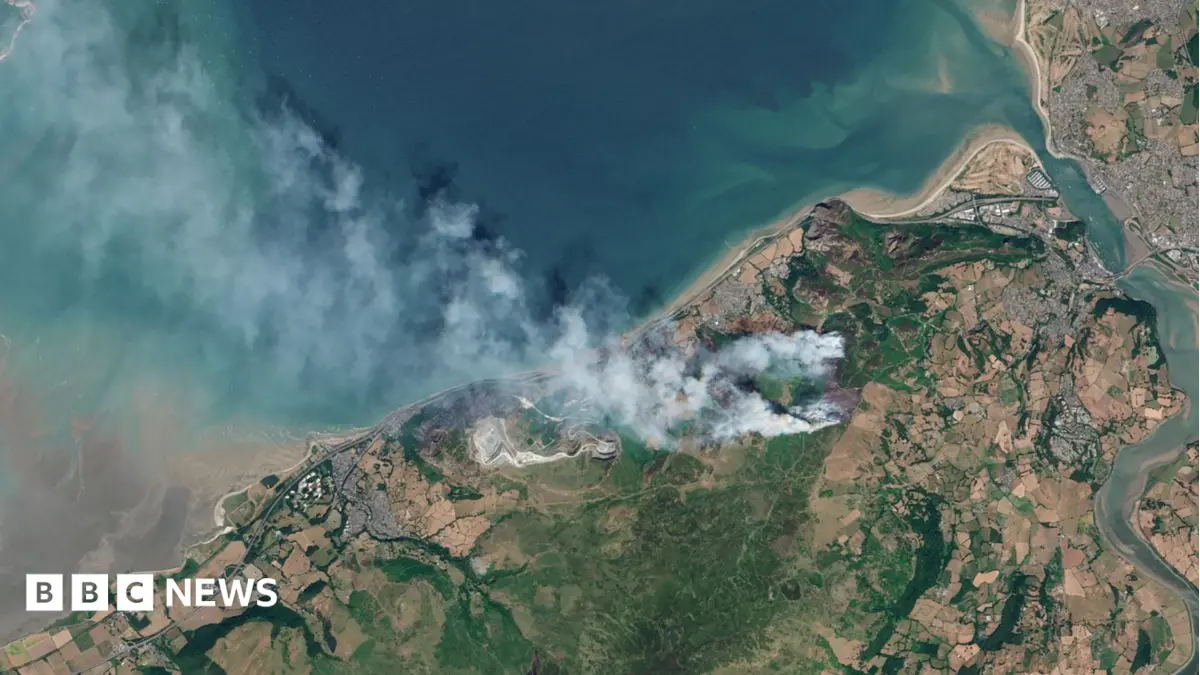 Wildfires Devastate Habitats: UK Wildlife Faces Centuries of Recovery