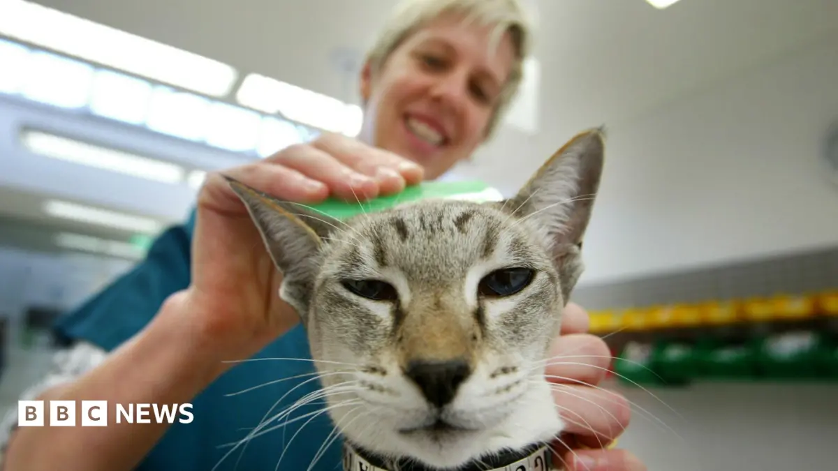 House of Lords Committee Demands Restrictions on Pet Flea Treatment Sales