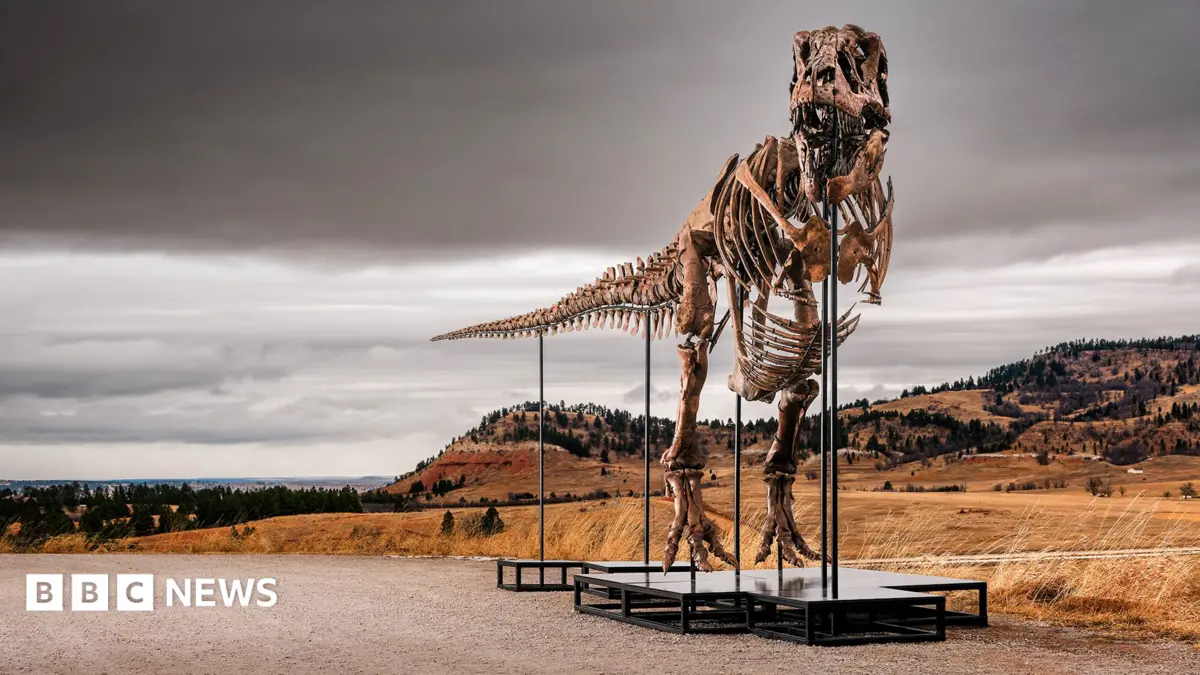 Tyrannosaurus Rex Fossil Sells for $30 Million, Scientists Express Concern