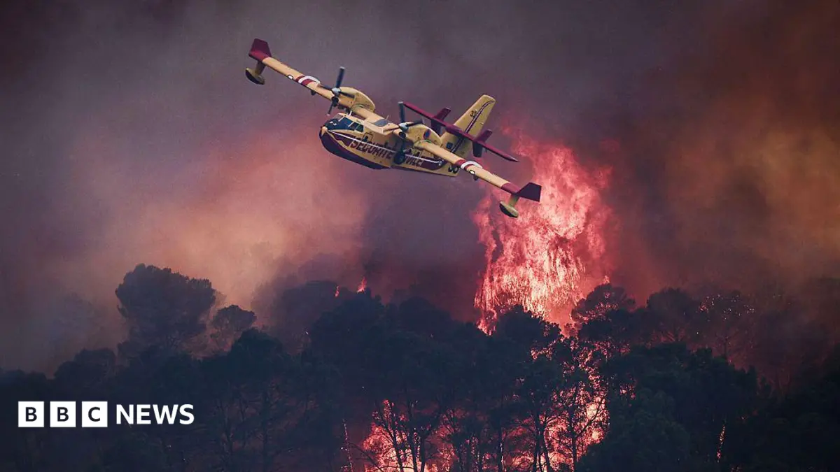 European Wildfires Devastate Bordeaux, Madrid Regions; Over 420 Square Kilometres Burned