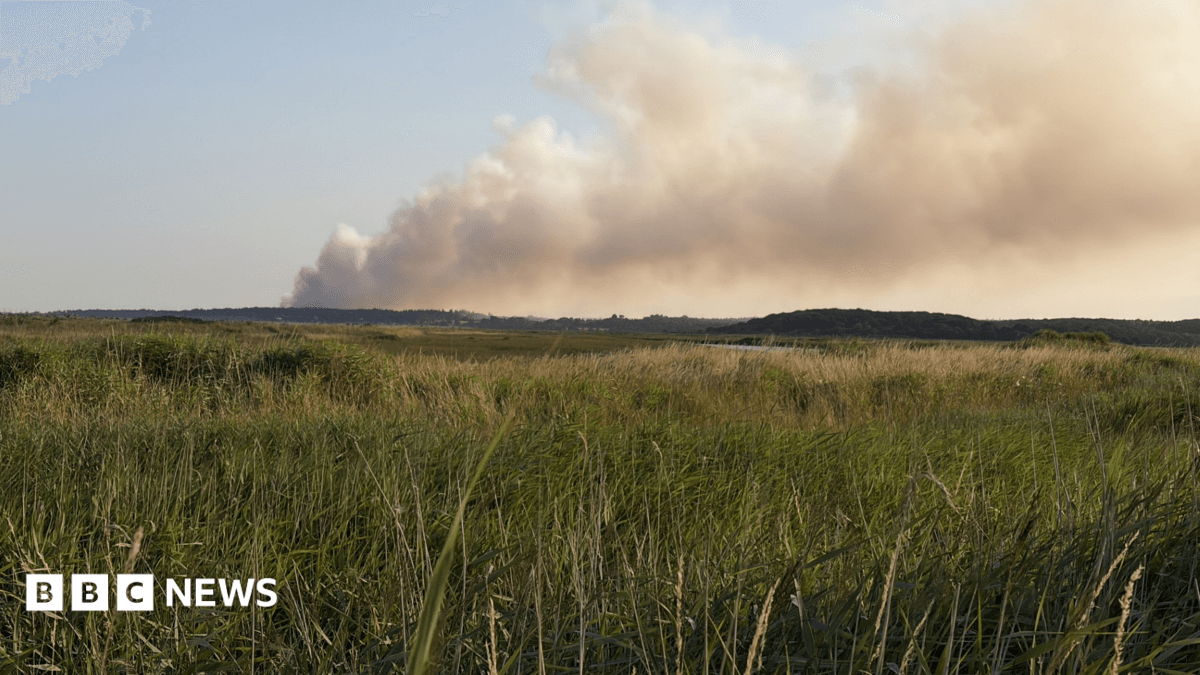 Suffolk Fire and Rescue Service Battles Large Coastal Heath Blaze
