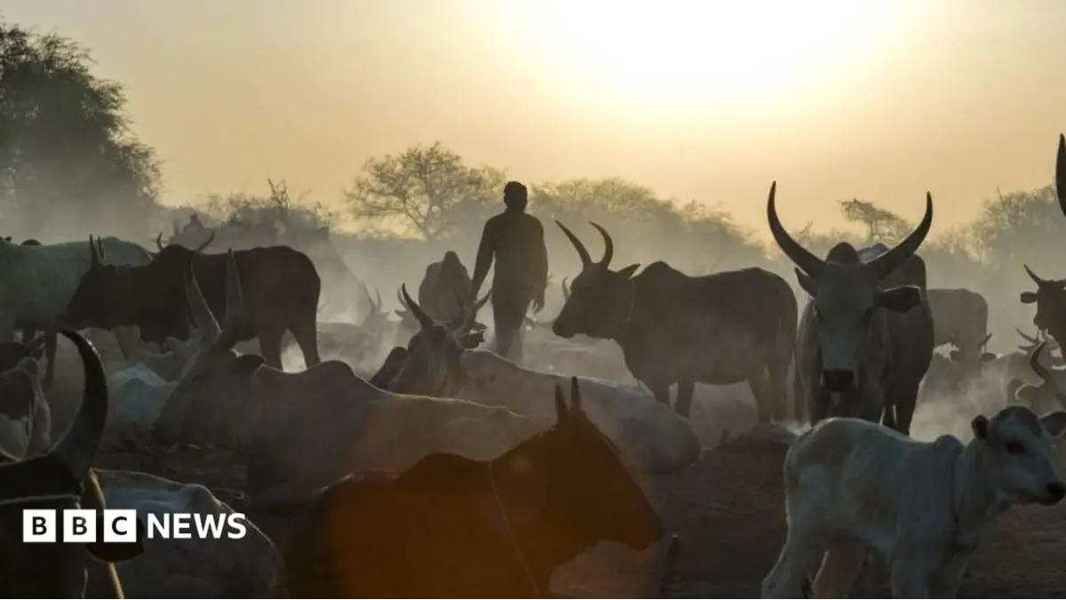 South Sudan Cattle Raids Kill 72, Fueling Violence Ahead of National Election