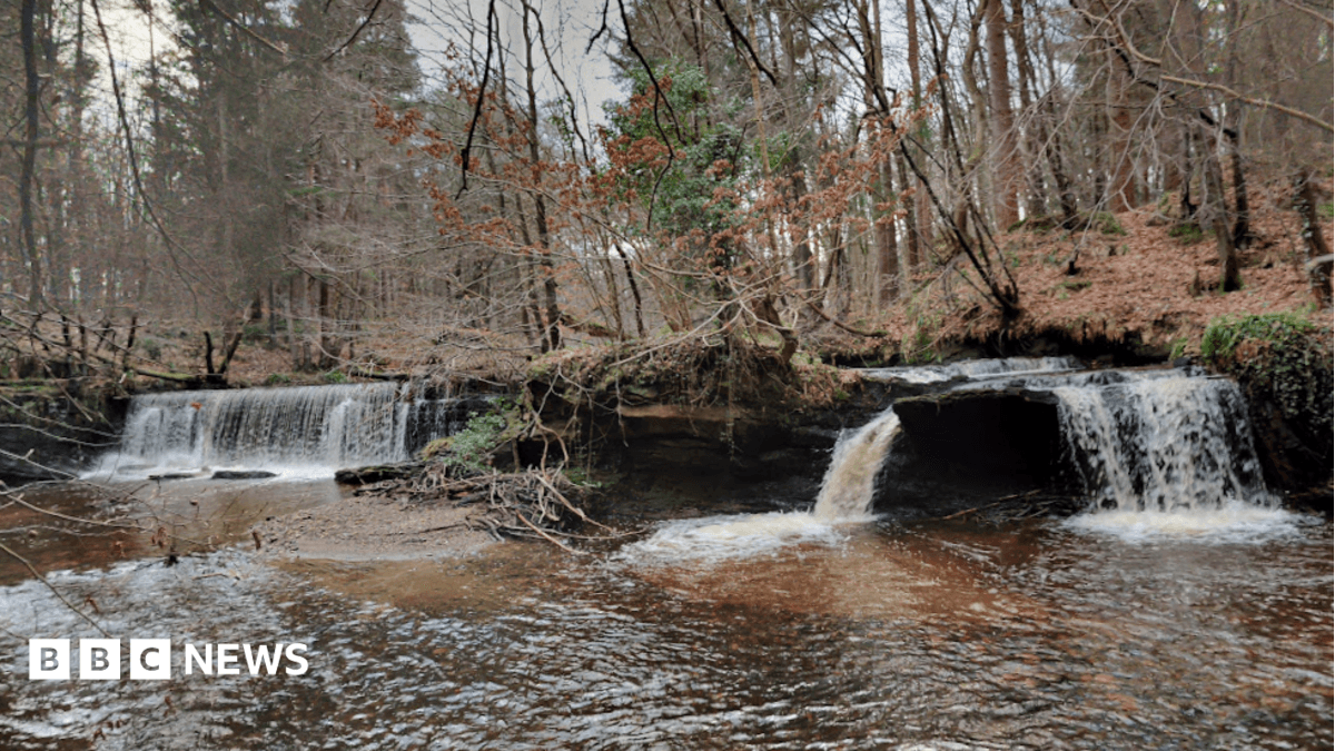 Girl, 11, Found Deceased Following Extensive Search at Midlothian Beauty Spot