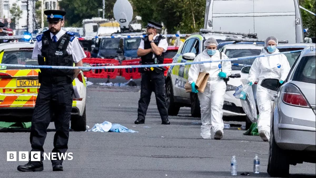 Southport Inquiry to Probe Social Media's Influence on Violent Individuals