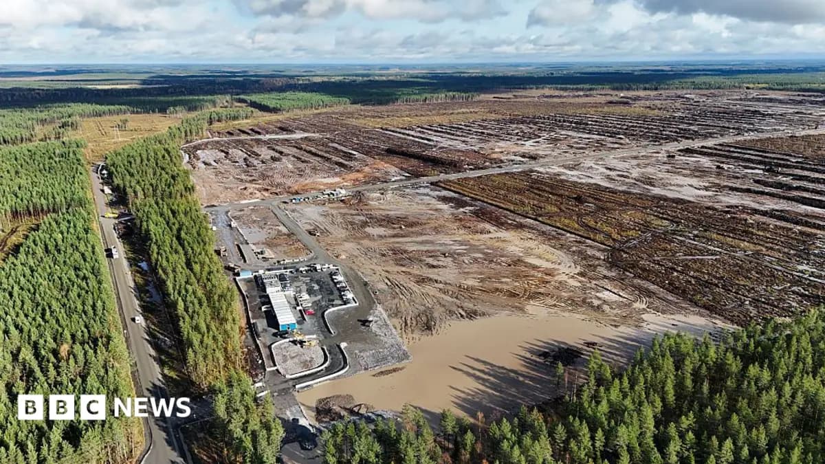 Finland Halts Google Data Centre Construction Amid Forest Clearance Objections