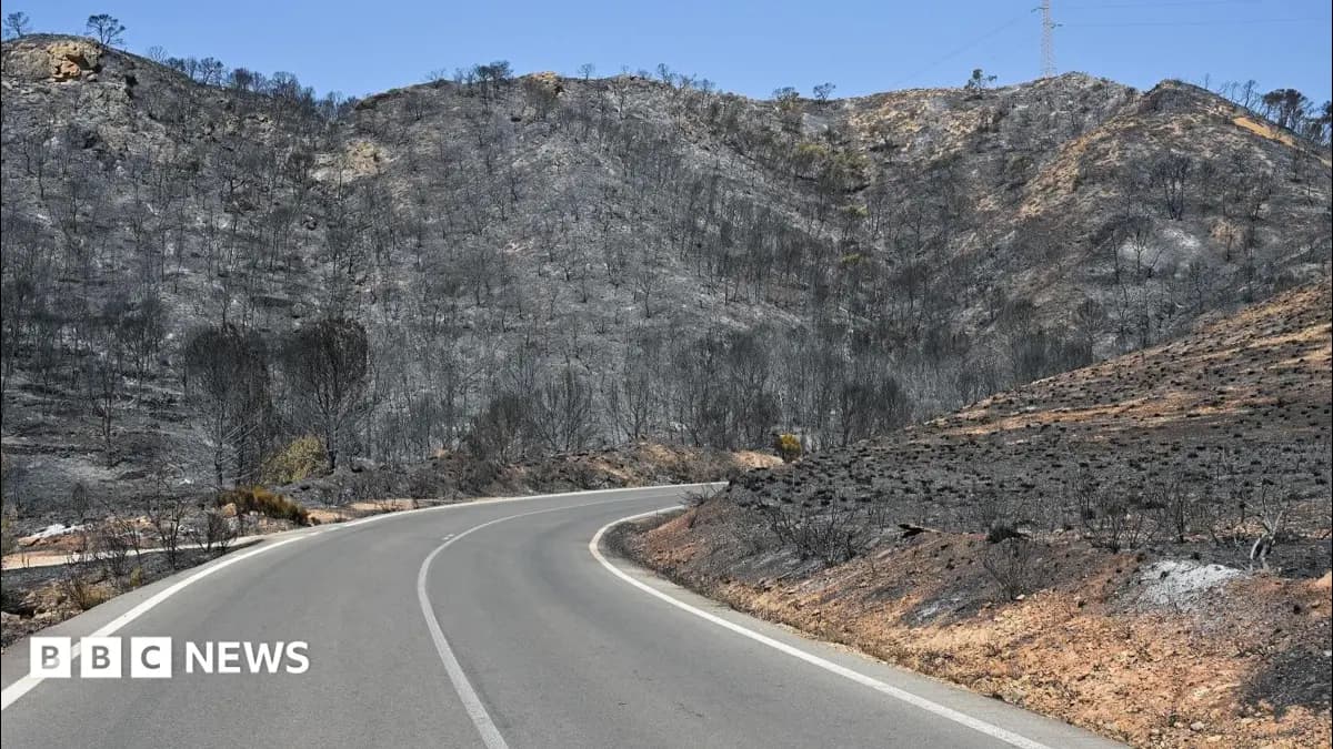 British Couple Rescued with 40% Burns from Almeria Wildfire Ravine