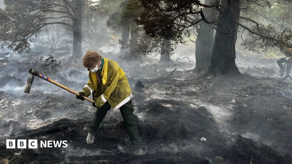 Cairngorms Wildfire Destroys 25 Square Kilometres Near Aviemore Over Two Weeks