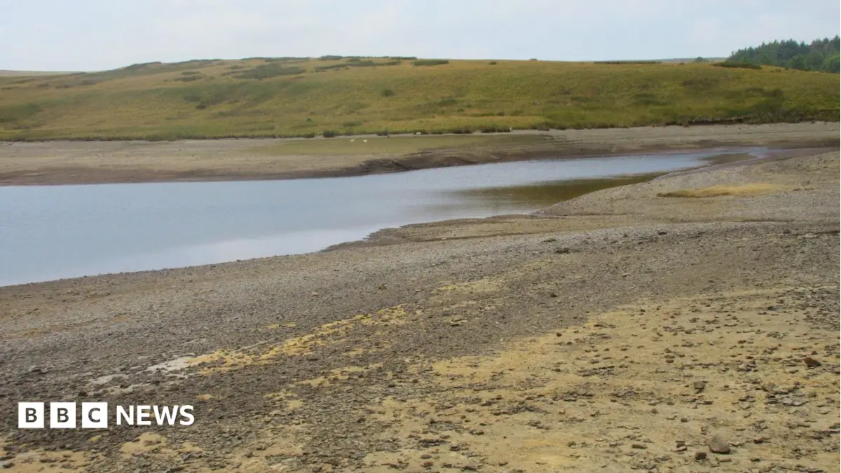 Wales Experiences Widespread Drought Declaration as July Records Driest Period in 189 Years