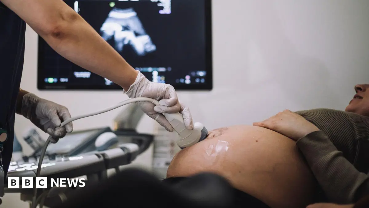 Maternity Report Omitted 'Normal Birth Drive' Criticism, Expert States After Resignation