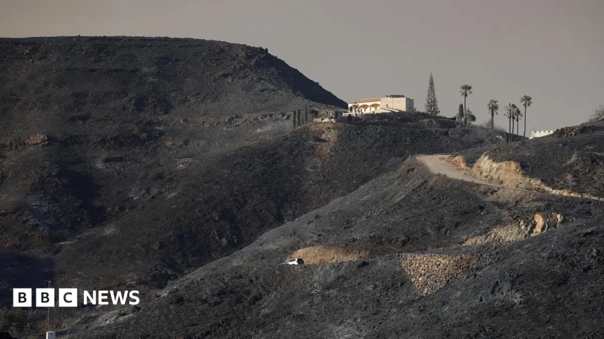 Seven British Nationals Die in Spanish Wildfires, Authorities Confirm