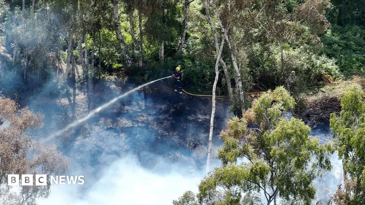 Greater Manchester Firefighters Battle Saddleworth Moor Peat Blaze in 'Boiling' Conditions