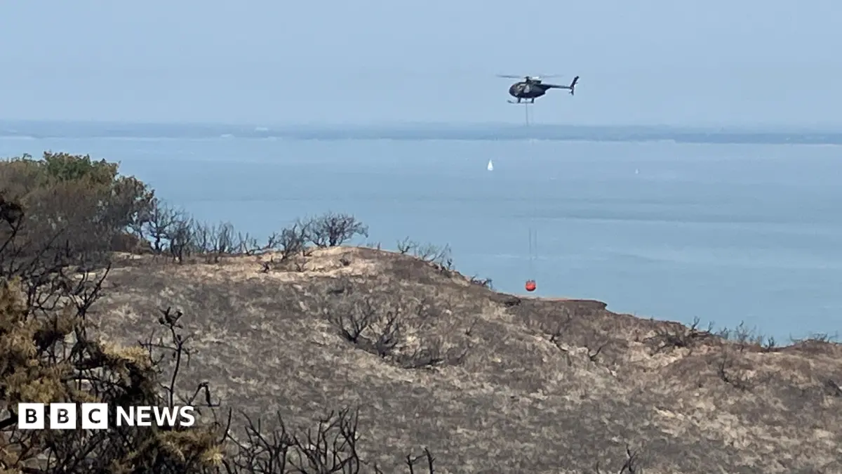 Isle of Wight Woodland Fire: Firefighting Helicopter Deployed to 25-Hectare Blaze