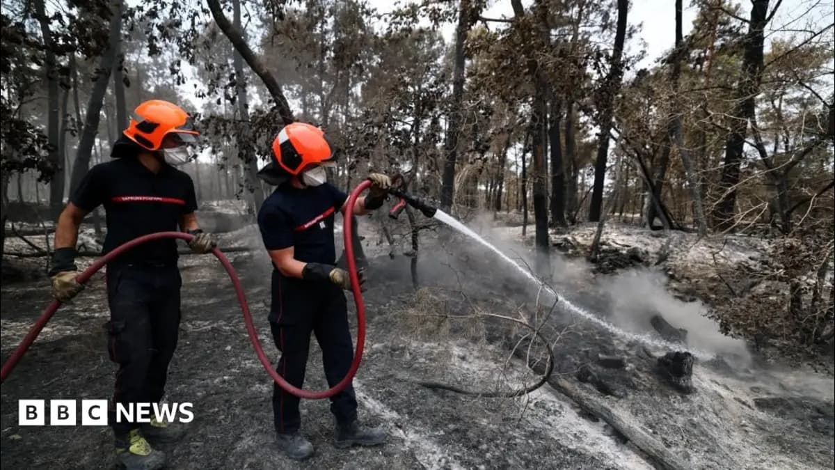 Volunteer Firefighter Arrested in France Over Massif des Maures Forest Blaze