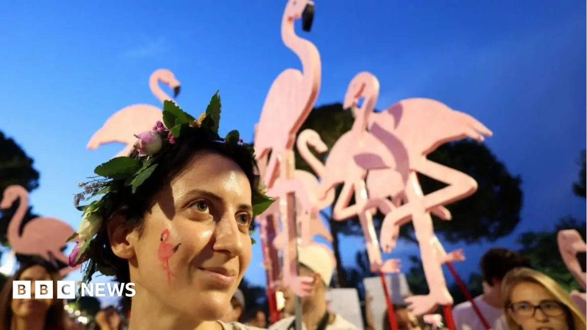 Albanian Protesters Adopt Flamingos as Symbol Demanding Prime Minister Rama's Resignation