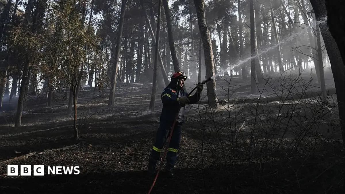 Firefighters Battle Thessaloniki Wildfire After One Civilian Confirmed Dead