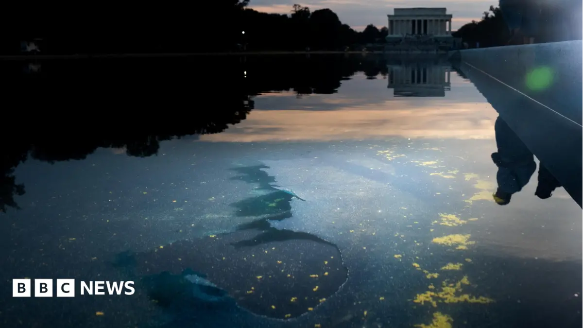 Washington D.C. Reflecting Pool Damaged by Knife, Not Fertiliser as Trump Claimed