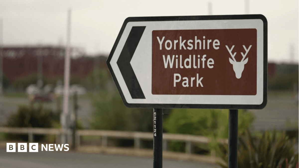 Doncaster Wildlife Park Visitor Dies After Entering Tiger Enclosure