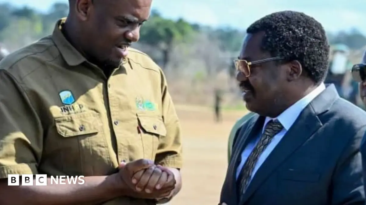 Tanzania Ruling Party Expels Vice Chairman Nchimbi, Names Kitila Mkumbo Successor