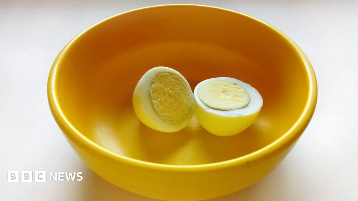 West Bengal Replaces Eggs with Fruit in School Lunches, Sparks Nutritional Debate