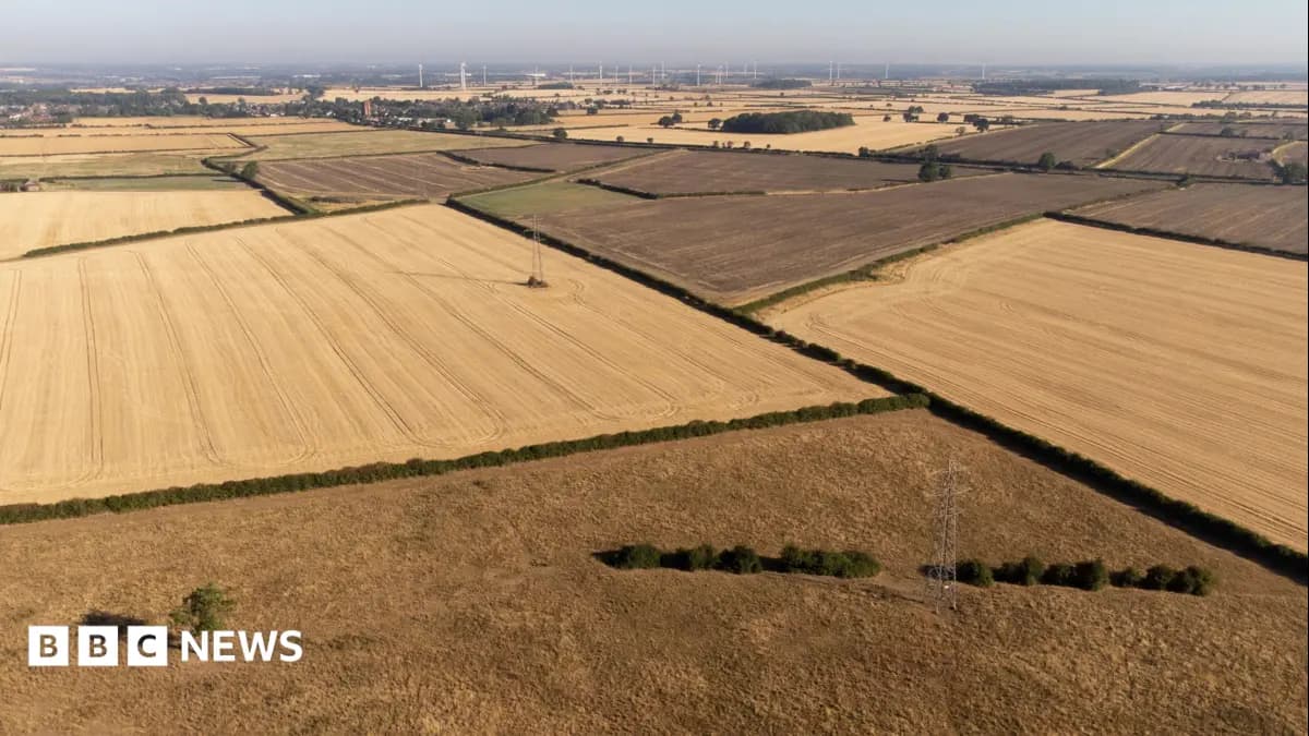NFU President Warns Drought Risks UK Food Shortages Without Government Action