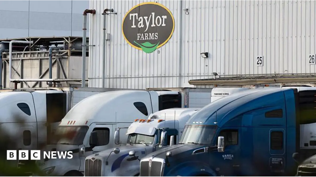 Iceberg Lettuce From Taylor Farms Caused US Cyclosporiasis Outbreak