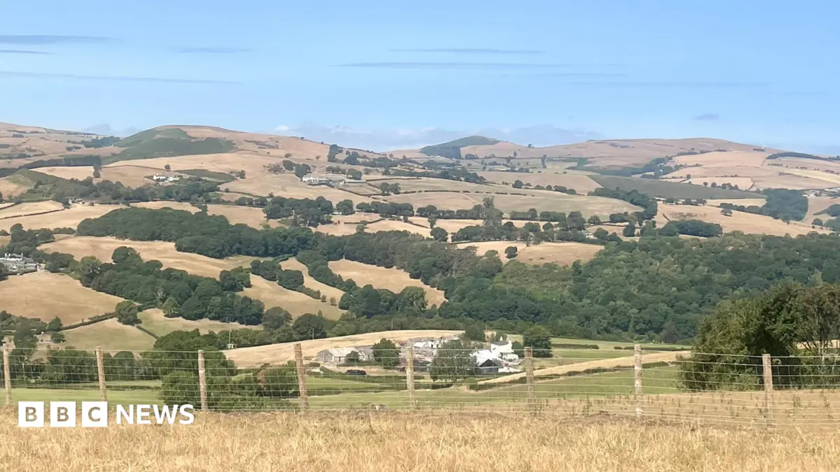 Parts of Wales Declare Drought as Rainfall Plummets in July