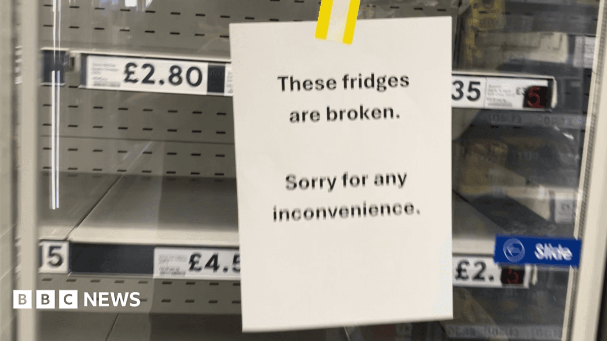 Older Refrigerators Malfunction in UK Heatwave, Appliance Engineers Report Surge in Breakdowns